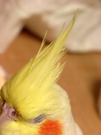 H̘bB